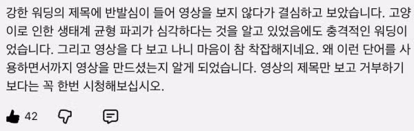 마라도에서 멸종위기종 뿔쇠오리가 사냥당하는 모습 - 클리앙 인기글 이미지 2 - 밈카세