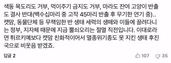 마라도에서 멸종위기종 뿔쇠오리가 사냥당하는 모습 - 클리앙 인기글 이미지 4 - 밈카세