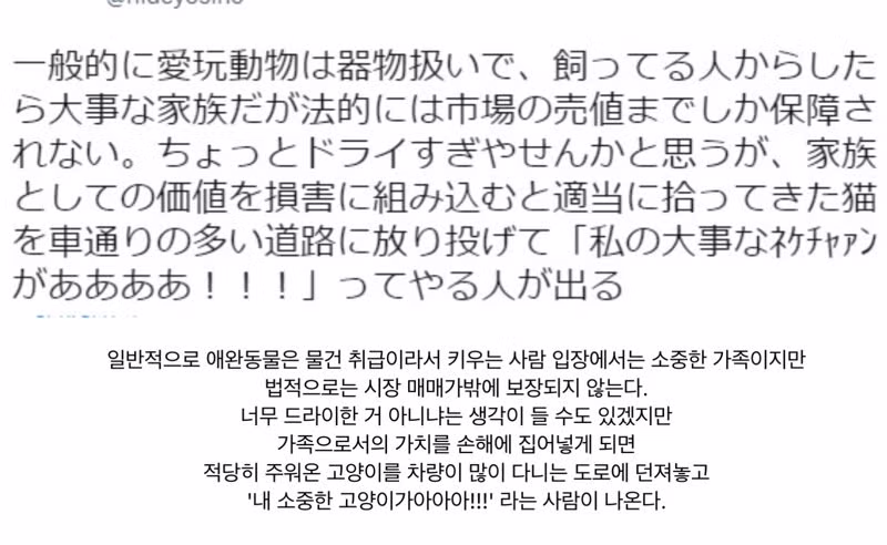 초등학생 보호하려 개 쫓아낸 여성에게 400만원 배상 청구한 견주 - 인벤 인기글 이미지 2 - 밈카세