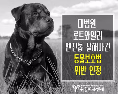 동물 비물건화 개정안 내용에 대한 논란 - 인벤 인기글 이미지 3 - 밈카세