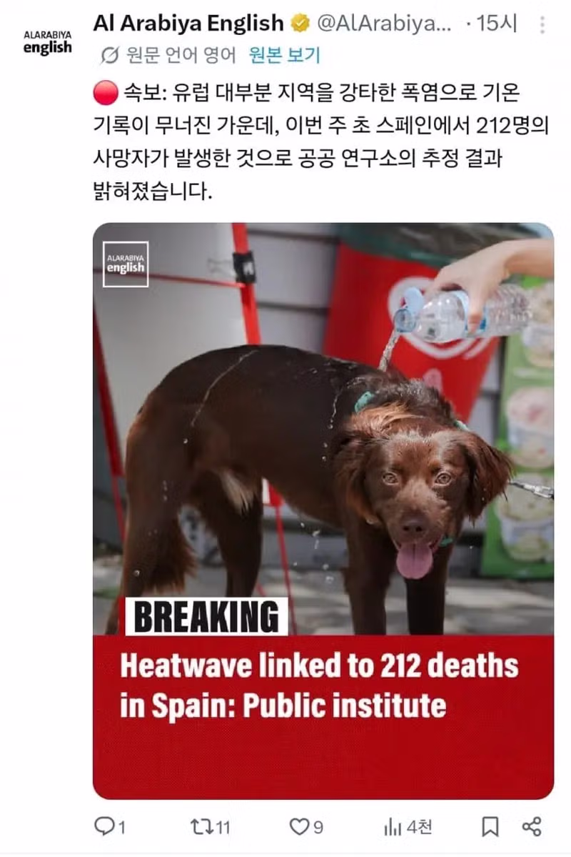 폭염으로 고통받는 유럽 상황 - 인벤 인기글 이미지 4 - 밈카세