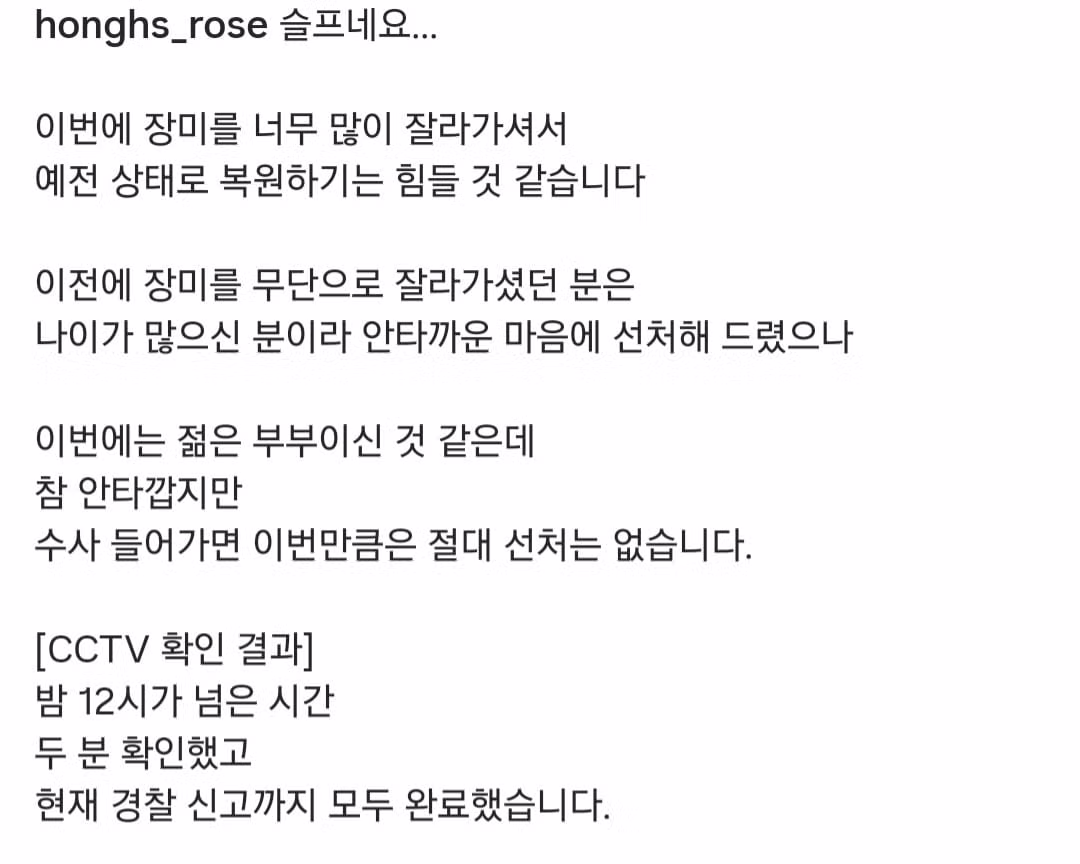 장미 명소에서 꽃을 무단으로 꺾어간 60대 남녀의 최후 - 인벤 인기글 이미지 3 - 밈카세