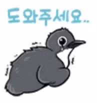 여유로운 분위기의 서귀포시 모습 - 인벤 인기글 이미지 3 - 밈카세