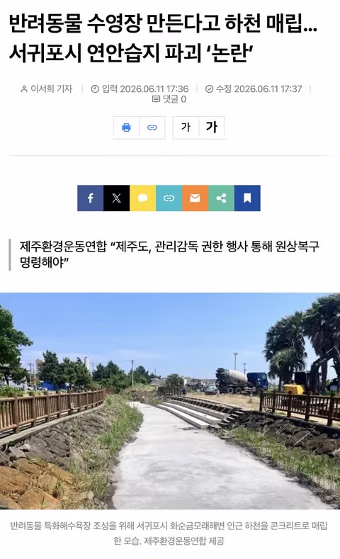 여유로운 분위기의 서귀포시 모습 - 인벤 인기글 이미지 5 - 밈카세