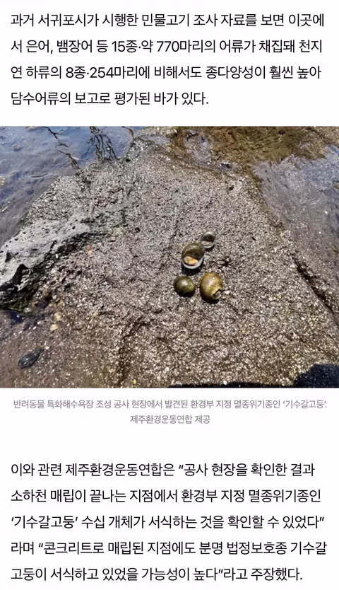 여유로운 분위기의 서귀포시 모습 - 인벤 인기글 이미지 6 - 밈카세