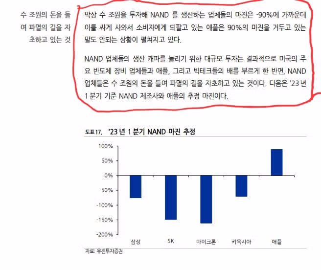 애플이 현재 비판받는 이유 요약 - 인벤 인기글 이미지 2 - 밈카세