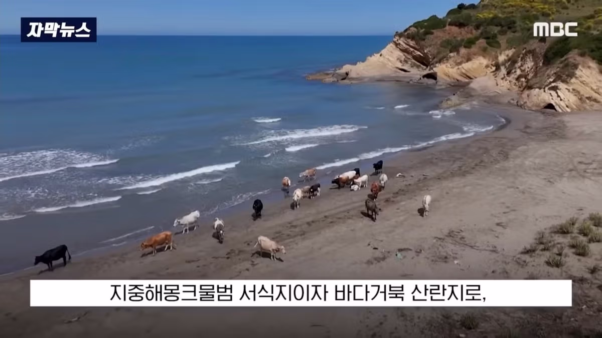 배 타고 가다 아름다운 풍경에 넋을 잃은 여자 - 인벤 인기글 이미지 3 - 밈카세