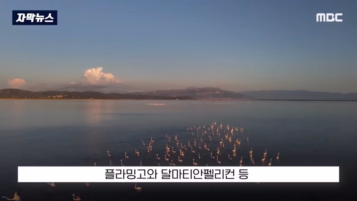 배 타고 가다 아름다운 풍경에 넋을 잃은 여자 - 인벤 인기글 이미지 4 - 밈카세