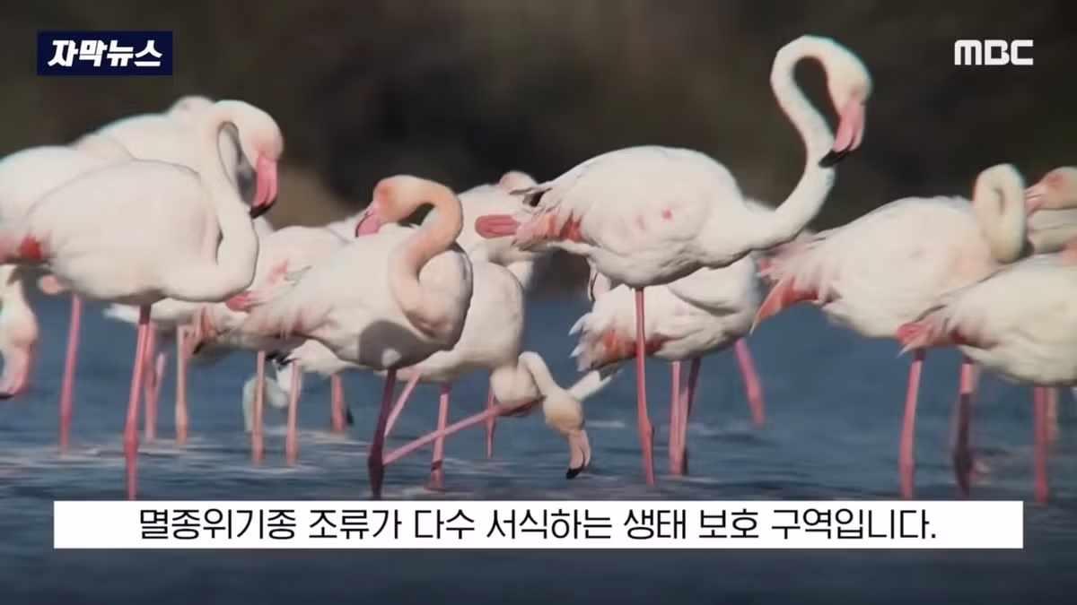 배 타고 가다 아름다운 풍경에 넋을 잃은 여자 - 인벤 인기글 이미지 5 - 밈카세