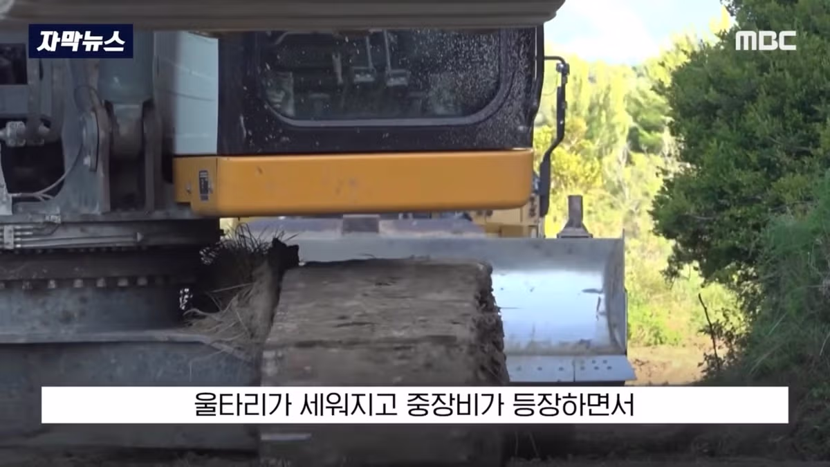 배 타고 가다 아름다운 풍경에 넋을 잃은 여자 - 인벤 인기글 이미지 7 - 밈카세