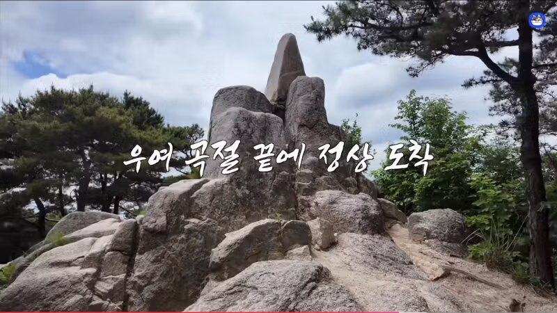 용봉산 정상에서 만난 길고양이 - 인벤 인기글 이미지 5 - 밈카세