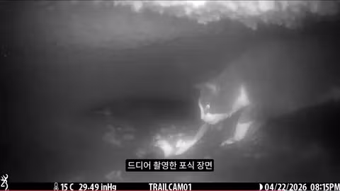 마라도 뿔쇠오리 죽인 범인을 찾는 집요한 추적기 - 뽐뿌 인기글 이미지 12 - 밈카세