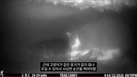 마라도 뿔쇠오리 죽인 범인을 찾는 집요한 추적기 - 뽐뿌 인기글 이미지 13 - 밈카세