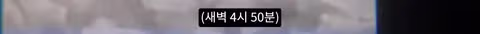 마라도 뿔쇠오리 죽인 범인을 찾는 집요한 추적기 - 뽐뿌 인기글 이미지 15 - 밈카세
