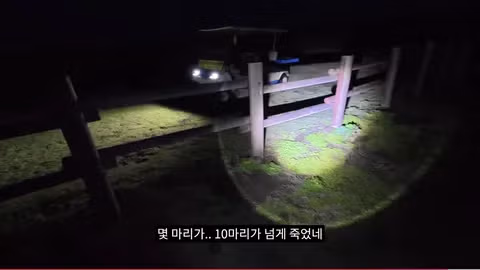 마라도 뿔쇠오리 죽인 범인을 찾는 집요한 추적기 - 뽐뿌 인기글 이미지 16 - 밈카세