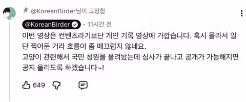마라도 뿔쇠오리 죽인 범인을 찾는 집요한 추적기 - 뽐뿌 인기글 이미지 19 - 밈카세