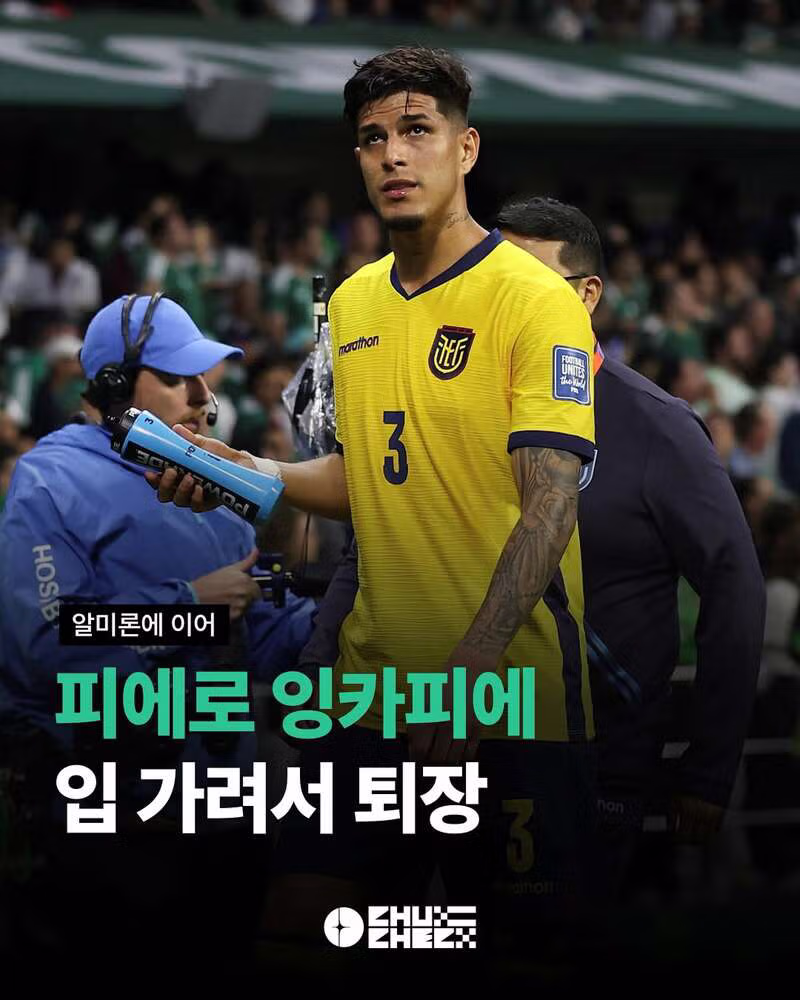 월드컵 32강 프랑스 스웨덴 및 멕시코 에콰도르 경기 결과와 하이라이트 - 클리앙 인기글 이미지 11 - 밈카세