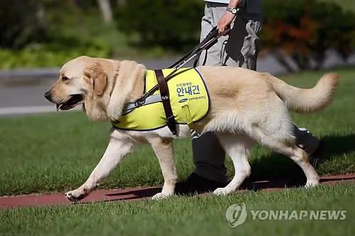 인류의 가장 친한 친구이자 최고의 존재 - 디시인사이드 인기글 이미지 2 - 밈카세
