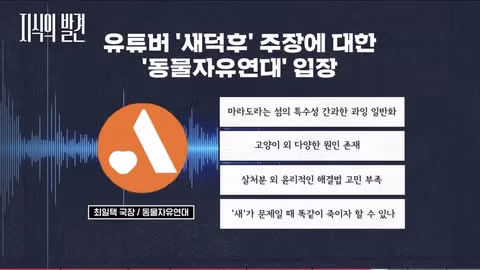 길고양이 문제에 대한 현실적인 해결책 논의 - 인벤 인기글 이미지 13 - 밈카세