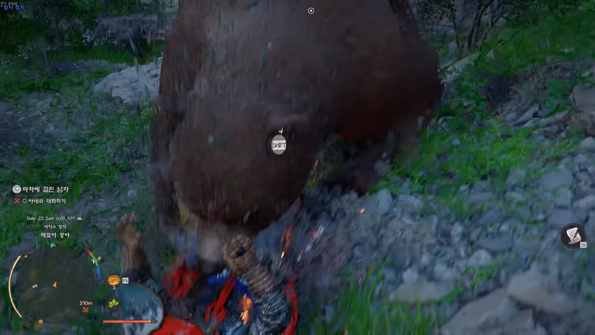 암만 곰이라도 절벽 아래 있는 놈이 뭘 할 수 있는데? ㅋㅋㅋ jpg 18
