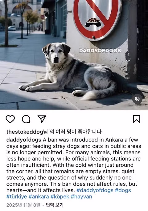 영역 표시를 하는 건 길고양이만이 아닙니다 - 인벤 인기글 이미지 9 - 밈카세