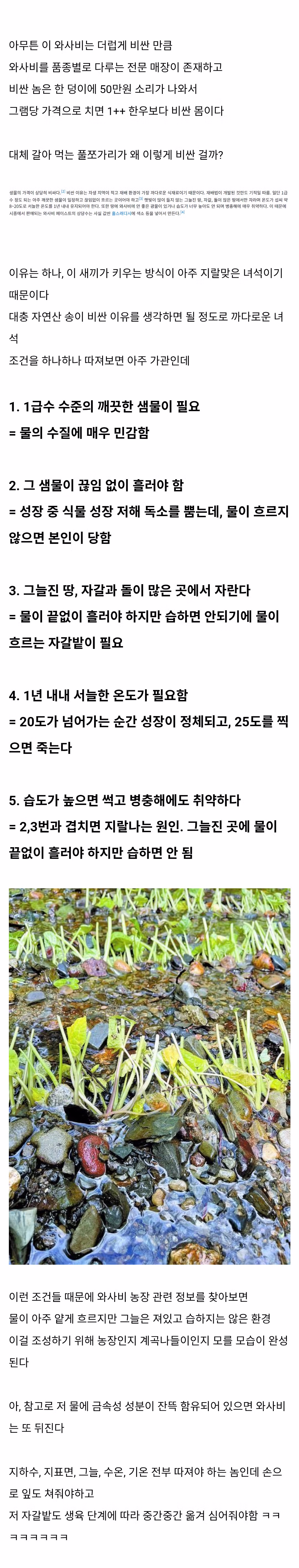 와사비가 비싼 이유 - 인벤 인기글 이미지 2 - 밈카세