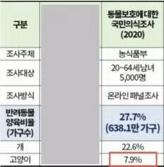 반토막 난 고양이들의 정체 - 인벤 인기글 이미지 3 - 밈카세