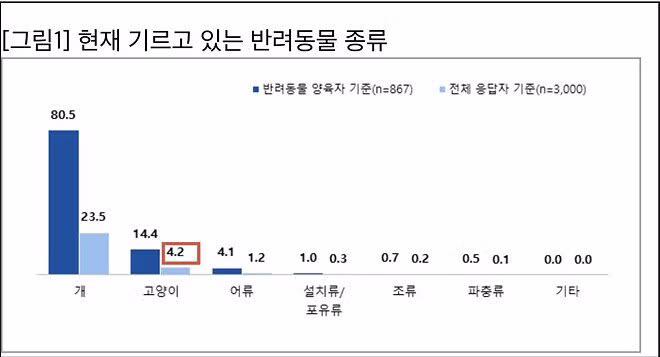 반토막 난 고양이들의 정체 - 인벤 인기글 이미지 5 - 밈카세