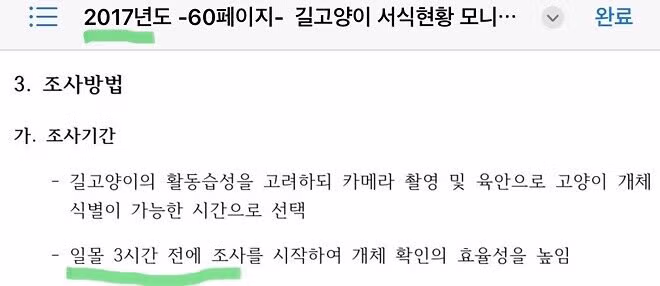 반토막 난 고양이들의 정체 - 인벤 인기글 이미지 8 - 밈카세