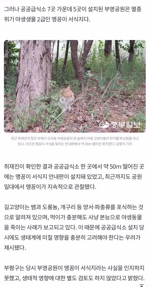 멸종위기 맹꽁이 서식지에 설치된 길고양이 급식소 논란 - 인벤 인기글 이미지 2 - 밈카세