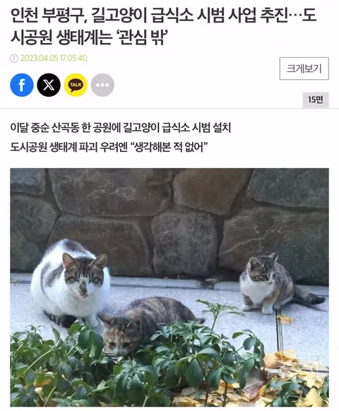 멸종위기 맹꽁이 서식지에 설치된 길고양이 급식소 논란 - 인벤 인기글 이미지 3 - 밈카세