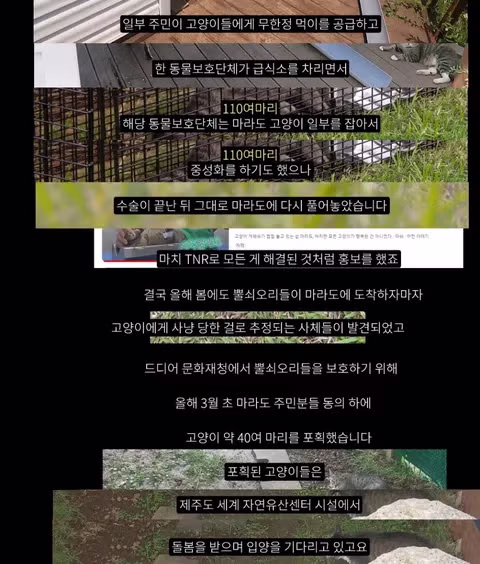 멸종위기 맹꽁이 서식지에 설치된 길고양이 급식소 논란 - 인벤 인기글 이미지 4 - 밈카세