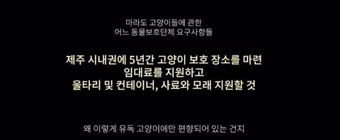 멸종위기 맹꽁이 서식지에 설치된 길고양이 급식소 논란 - 인벤 인기글 이미지 6 - 밈카세