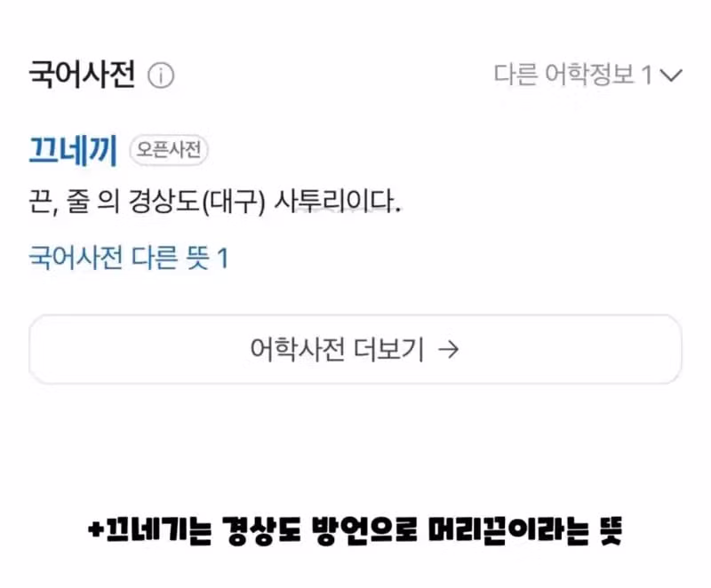 홀란드가 사용하는 머리끈의 한국산 유래 - 디시인사이드 인기글 이미지 1 - 밈카세