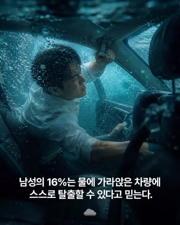 나의 성향 테스트 결과는 몇 퍼센트일까 - 디시인사이드 인기글 이미지 3 - 밈카세