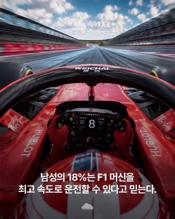 나의 성향 테스트 결과는 몇 퍼센트일까 - 디시인사이드 인기글 이미지 7 - 밈카세