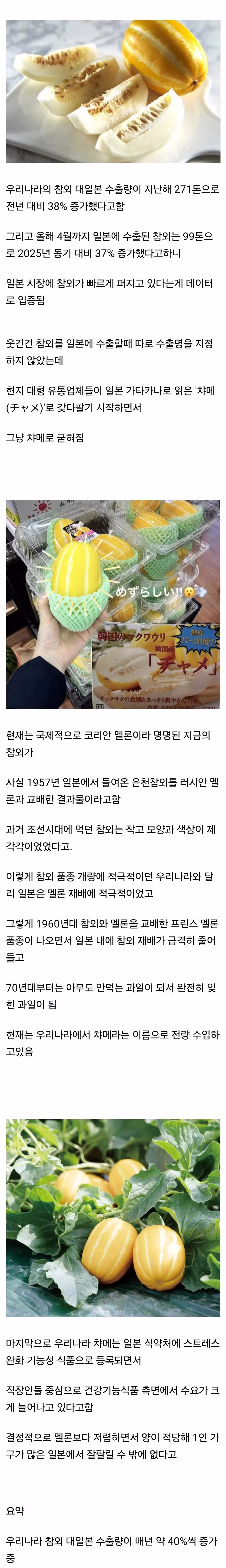 참외를 좋아하는 오이 갤러리 이용자 모임 - 디시인사이드 인기글 이미지 1 - 밈카세