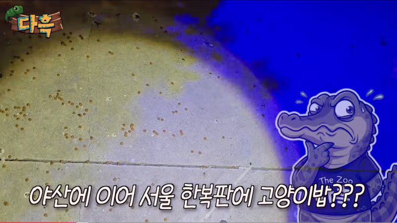 600억 규모 핫플의 바퀴벌레 습격과 예상치 못한 원인 - 인벤 인기글 이미지 1 - 밈카세