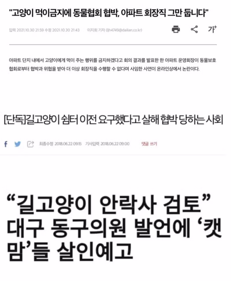 600억 규모 핫플의 바퀴벌레 습격과 예상치 못한 원인 - 인벤 인기글 이미지 3 - 밈카세