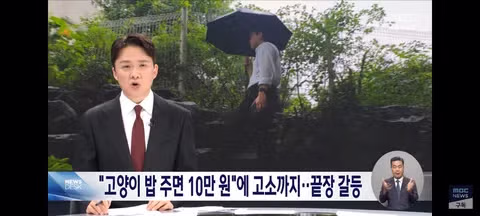 길고양이 급식소 설치로 인한 갈등과 법적 분쟁 - 클리앙 인기글 이미지 1 - 밈카세