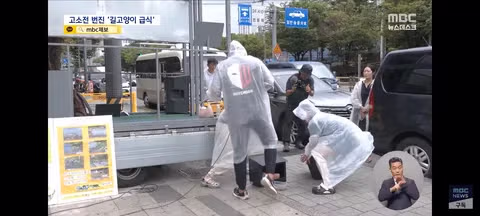길고양이 급식소 설치로 인한 갈등과 법적 분쟁 - 클리앙 인기글 이미지 5 - 밈카세