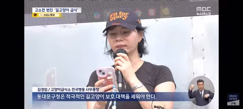 길고양이 급식소 설치로 인한 갈등과 법적 분쟁 - 클리앙 인기글 이미지 6 - 밈카세