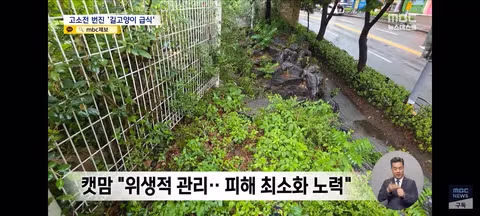 길고양이 급식소 설치로 인한 갈등과 법적 분쟁 - 클리앙 인기글 이미지 11 - 밈카세