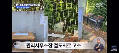길고양이 급식소 설치로 인한 갈등과 법적 분쟁 - 클리앙 인기글 이미지 12 - 밈카세