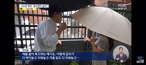 길고양이 급식소 설치로 인한 갈등과 법적 분쟁 - 클리앙 인기글 이미지 13 - 밈카세