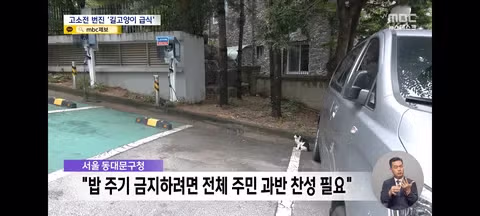 길고양이 급식소 설치로 인한 갈등과 법적 분쟁 - 클리앙 인기글 이미지 16 - 밈카세