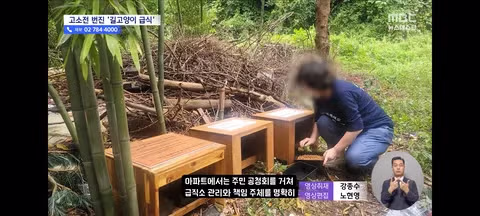 길고양이 급식소 설치로 인한 갈등과 법적 분쟁 - 클리앙 인기글 이미지 17 - 밈카세