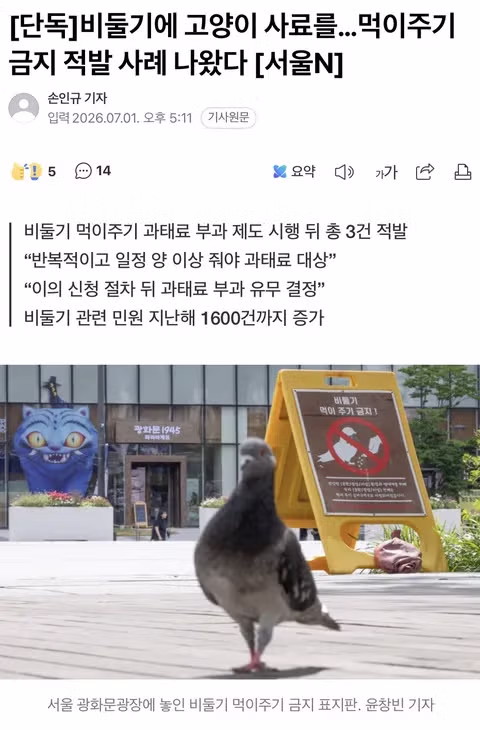 비둘기 먹이 주기 금지 위반 첫 적발 사례의 반전 - 인벤 인기글 이미지 1 - 밈카세