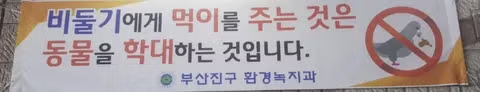 비둘기 먹이 주기 금지 위반 첫 적발 사례의 반전 - 인벤 인기글 이미지 2 - 밈카세