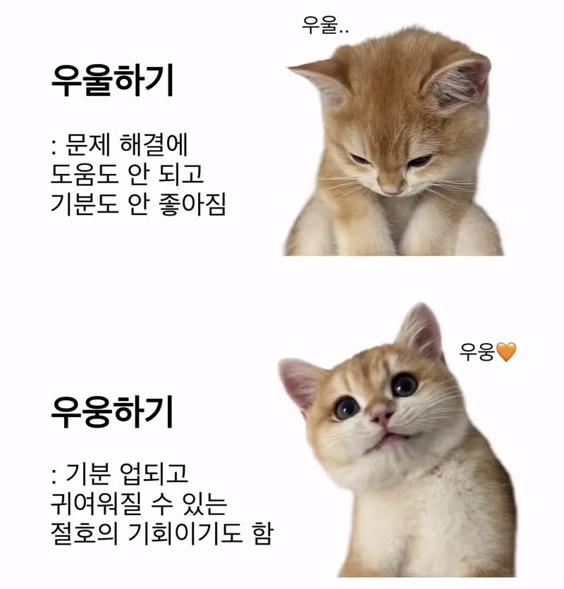우울함 대신 우웅하기 - 인벤 인기글 이미지 1 - 밈카세